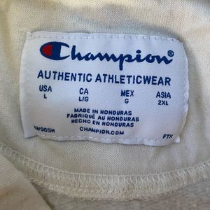 Mens champion hoodie, size L